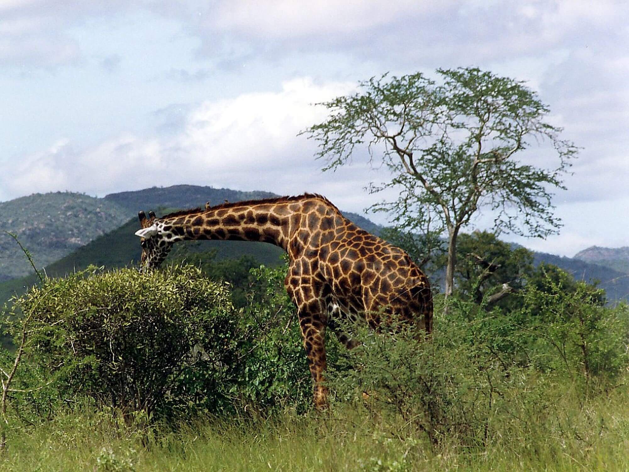 06 Days Kenya Scenic Expedition