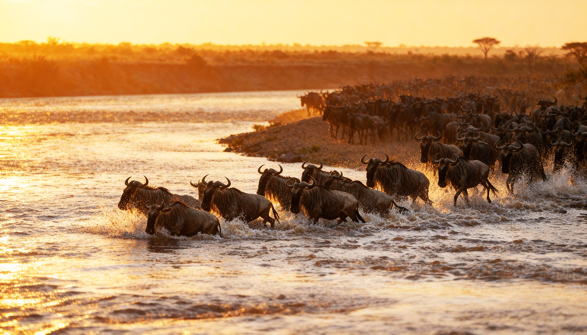 02 Days Mara Flying Safari