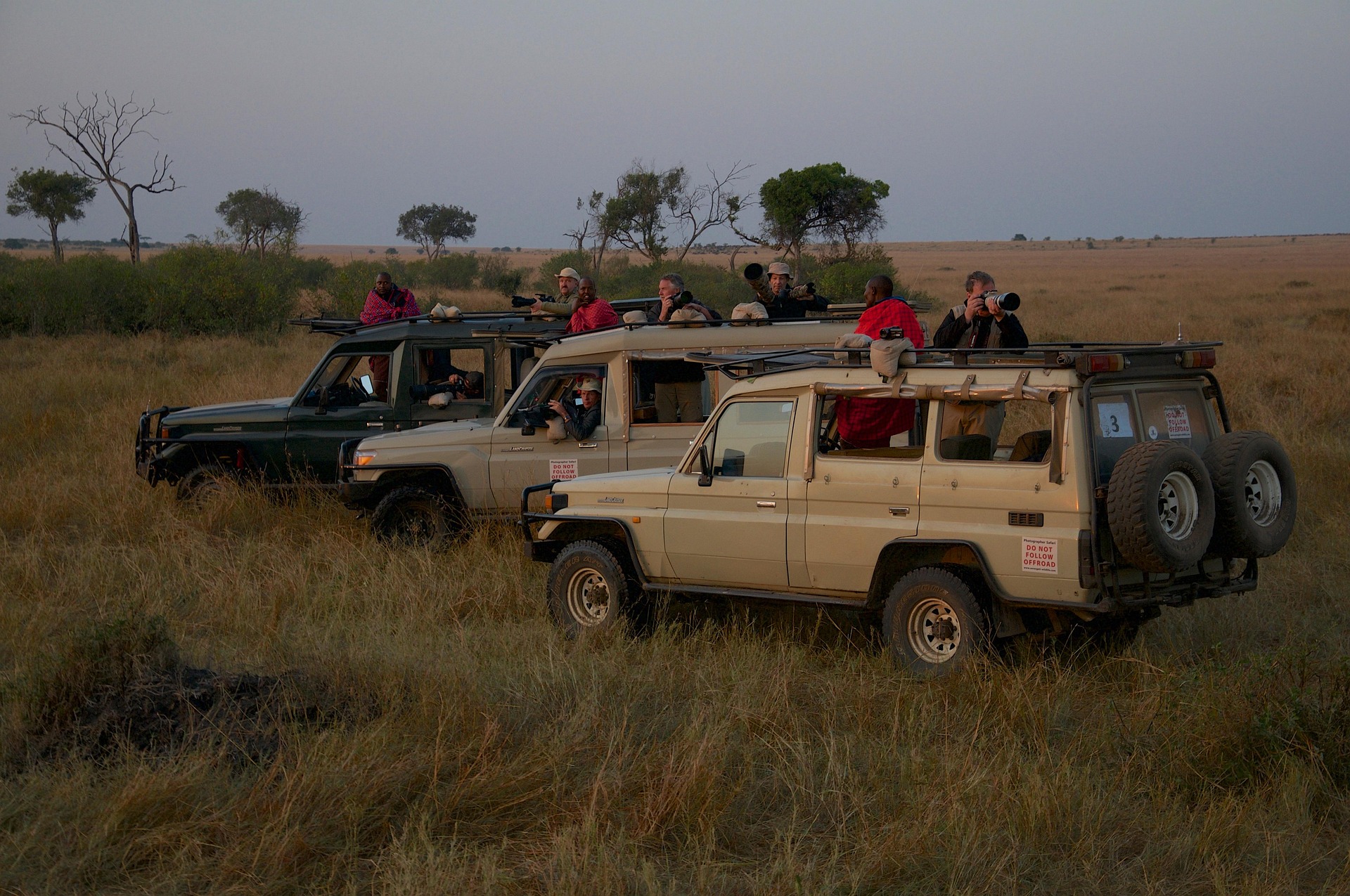 Safaris